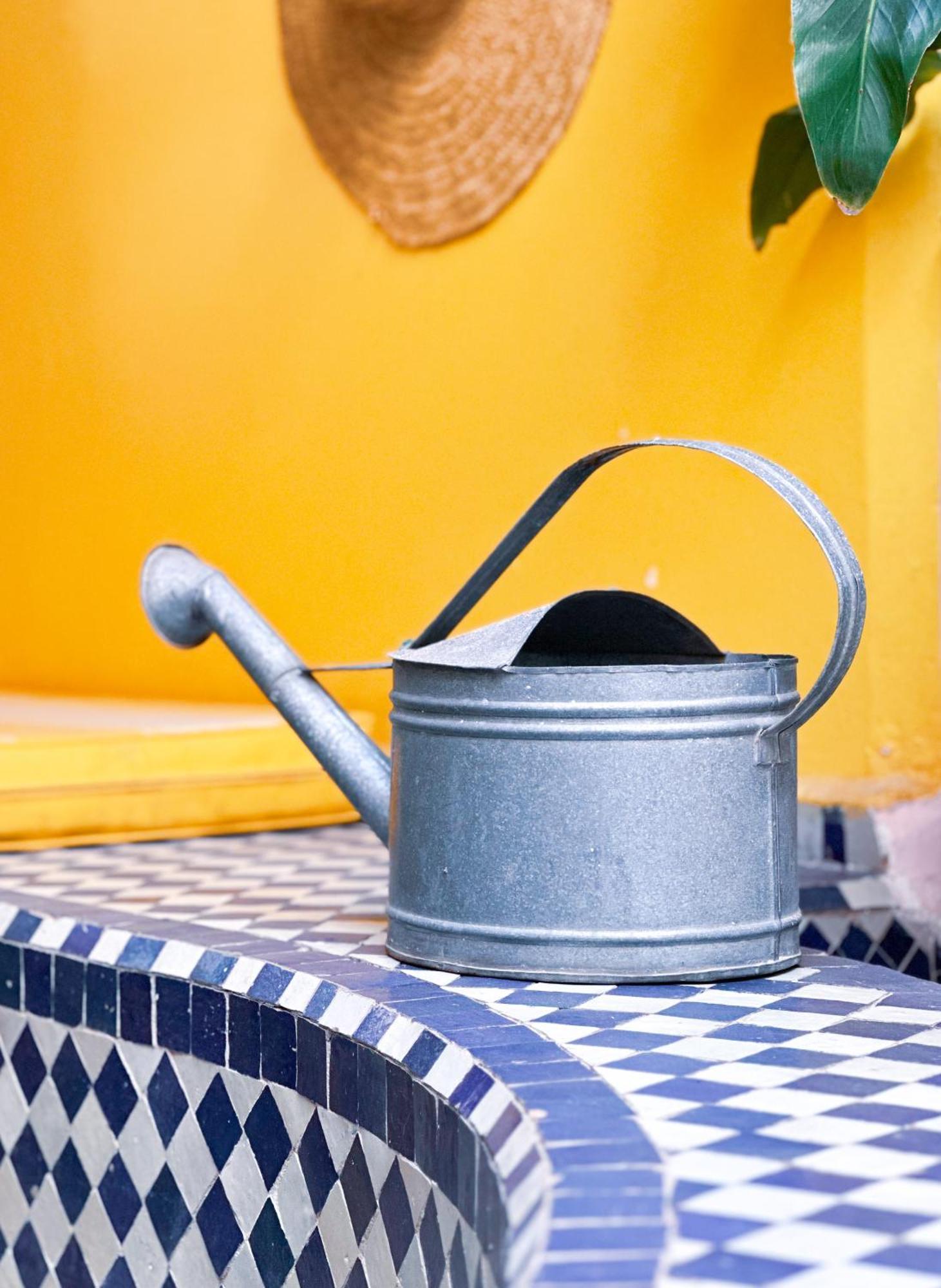 Riad Lauriers Blancs Marrakesh Ngoại thất bức ảnh
